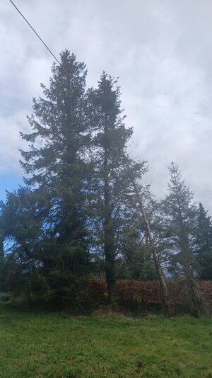 20260129_120159.jpg 20260129_120159.jpg