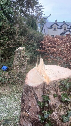 20260129_120901.jpg 20260129_120901.jpg