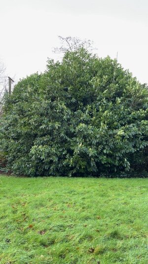 IMG-20260130-WA0000.jpg IMG-20260130-WA0000.jpg