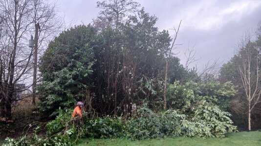 20260130_102410.jpg 20260130_102410.jpg