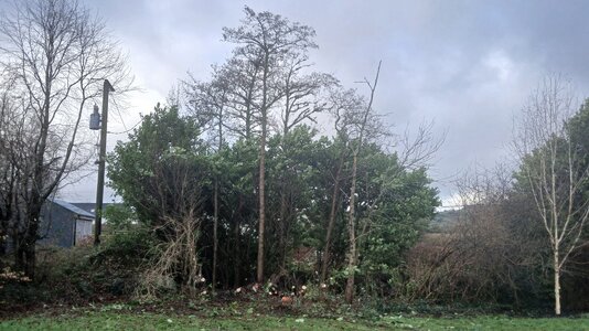 20260130_112741.jpg 20260130_112741.jpg