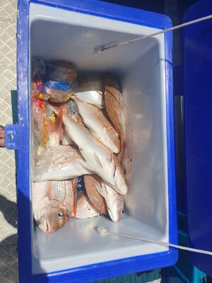 20260131_125927.jpg 20260131_125927.jpg