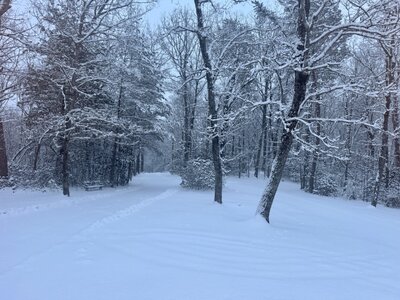 IMG_6173.jpeg IMG_6173.jpeg