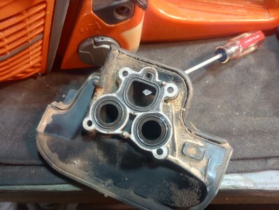 IMG_20260130_231100160_HDR.jpg IMG_20260130_231100160_HDR.jpg