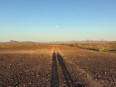 IMG_7388.jpeg IMG_7388.jpeg