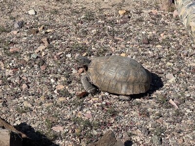 IMG_7385.jpeg IMG_7385.jpeg