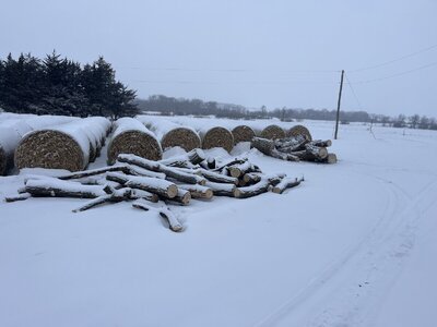 IMG_5622.jpeg IMG_5622.jpeg