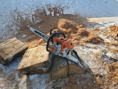 20260201_105125.jpg 20260201_105125.jpg