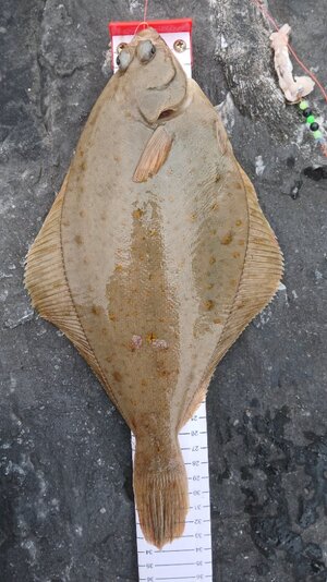 20250929_150958.jpg 20250929_150958.jpg