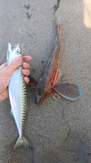 20250928_165338.jpg 20250928_165338.jpg