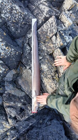 20250921_172217.jpg 20250921_172217.jpg