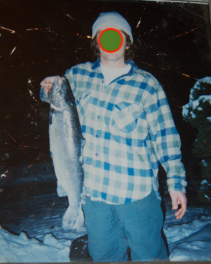 Atlantic salmon laurel copy.png