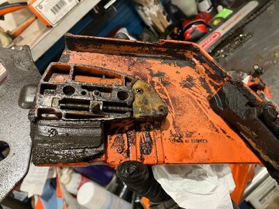 IMG_2538.jpeg IMG_2538.jpeg