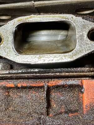 IMG_2539.jpeg IMG_2539.jpeg