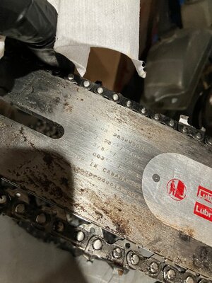 IMG_2535.jpeg IMG_2535.jpeg