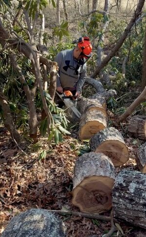 IMG_1907.jpeg IMG_1907.jpeg