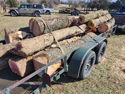 20260221_134824.jpg 20260221_134824.jpg