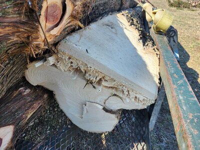 20260221_134813.jpg 20260221_134813.jpg