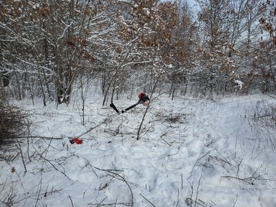 20260222_102724.jpg 20260222_102724.jpg