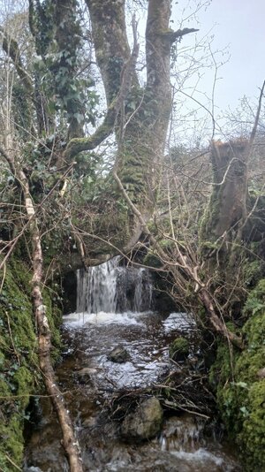 20260223_092124.jpg 20260223_092124.jpg