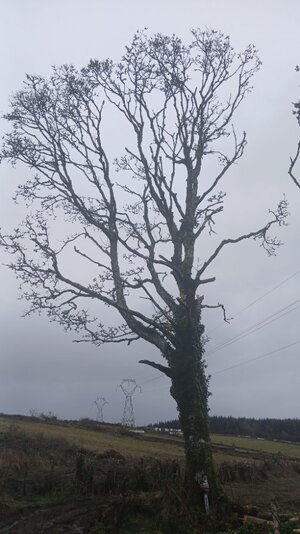 20260223_133714.jpg 20260223_133714.jpg