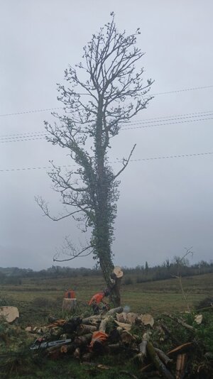 20260223_144532.jpg 20260223_144532.jpg