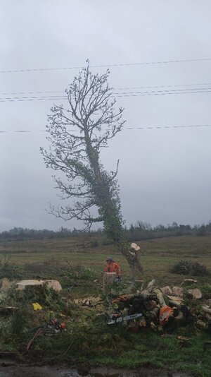 20260223_144545.jpg 20260223_144545.jpg