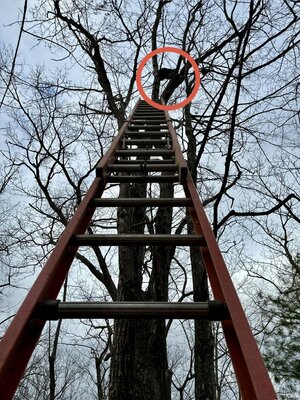 IMG_0048.jpeg IMG_0048.jpeg