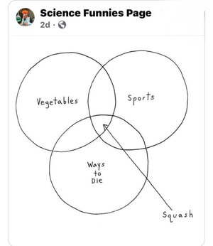 IMG_2745.jpeg IMG_2745.jpeg