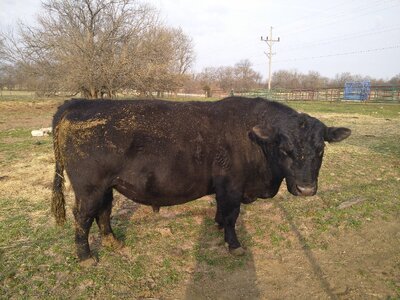 IMG_20260301_083439.jpg IMG_20260301_083439.jpg