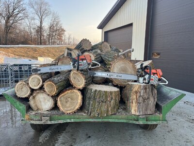 IMG_5846.jpeg IMG_5846.jpeg