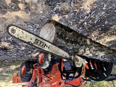 IMG_5852.jpeg IMG_5852.jpeg