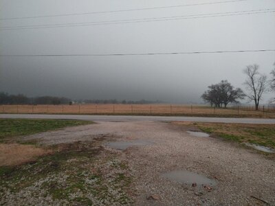 IMG_20260304_070640.jpg IMG_20260304_070640.jpg