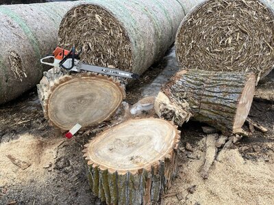 IMG_5863.jpeg IMG_5863.jpeg