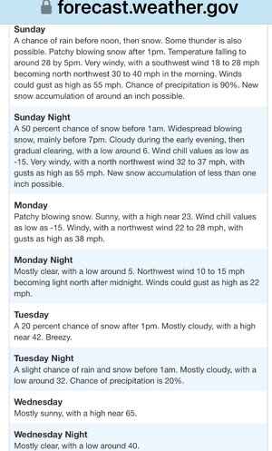 IMG_3461.jpeg IMG_3461.jpeg