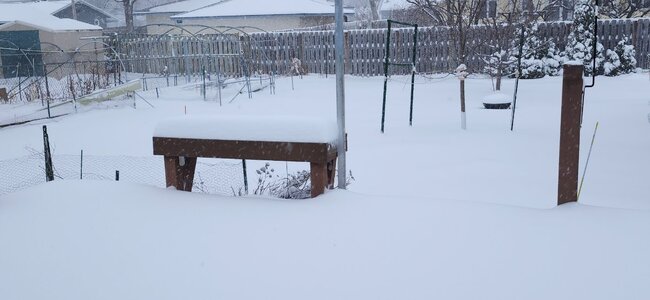 20260315_080725.jpg 20260315_080725.jpg