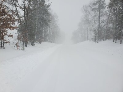 20260315_094140.jpg 20260315_094140.jpg