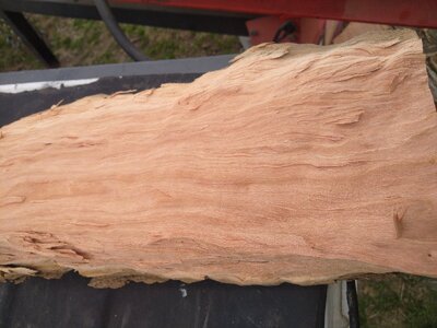 IMG_20260315_142623.jpg IMG_20260315_142623.jpg