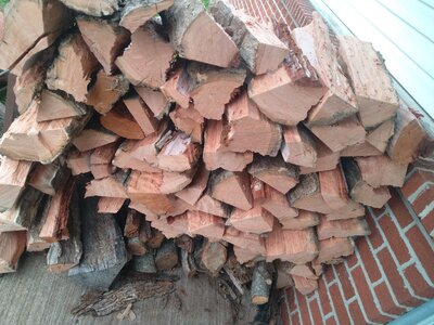 IMG_20260315_145036.jpg IMG_20260315_145036.jpg