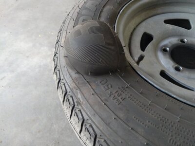 IMG_20260318_190618.jpg IMG_20260318_190618.jpg