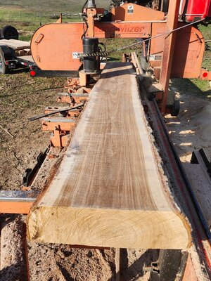 20260321_090908.jpg 20260321_090908.jpg