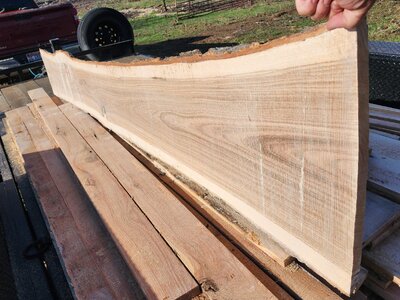 20260321_090731.jpg 20260321_090731.jpg