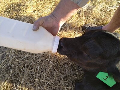 IMG_20260321_085520.jpg IMG_20260321_085520.jpg