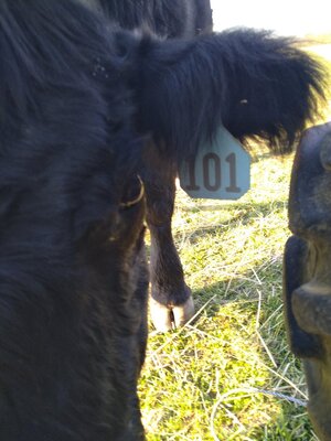 IMG_20260321_083245.jpg IMG_20260321_083245.jpg