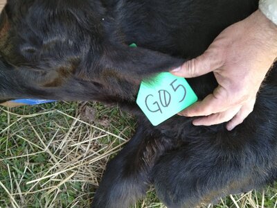 IMG_20260321_083248.jpg IMG_20260321_083248.jpg