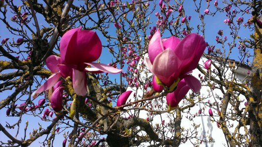 IMAG2307.jpg IMAG2307.jpg