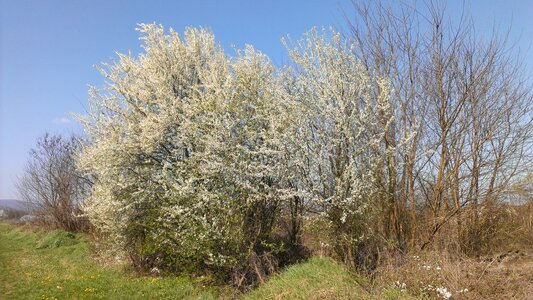 IMAG2298.jpg IMAG2298.jpg