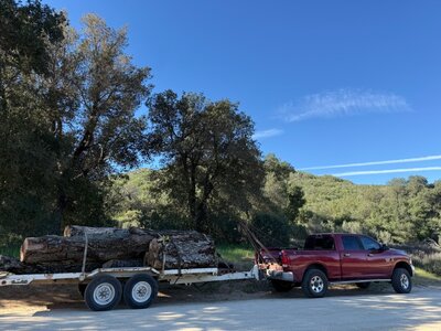 IMG_8064.jpeg IMG_8064.jpeg