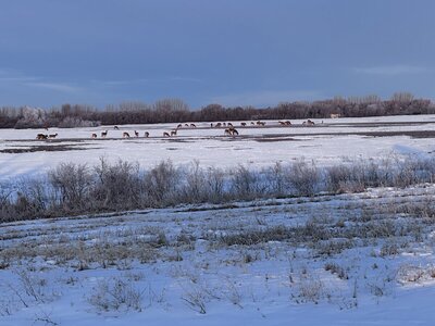 IMG_2722.jpeg IMG_2722.jpeg