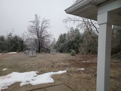 20260404_065256.jpg 20260404_065256.jpg